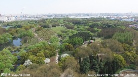 上海共青森林公园航拍视频