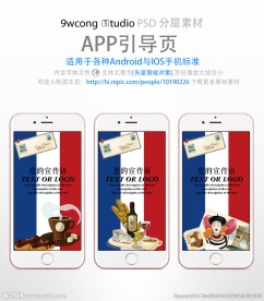 法国风格app引导页psd
