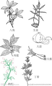 手绘大料