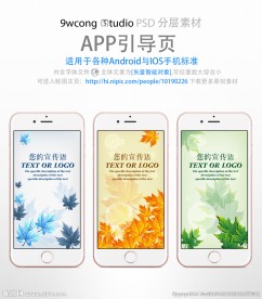 枫叶素材app引导页psd