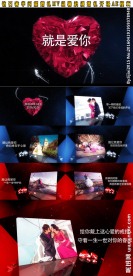 优雅奢华闪耀婚礼开场AE模板