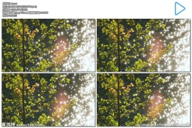 波光粼粼的湖面