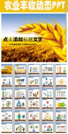 农业丰收秋天麦子黄色收获PPT