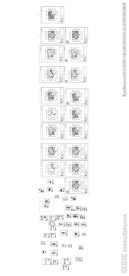 别墅住宅平面图