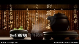 中仁-少海澜山宣传片