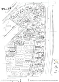 楼盘规划总CAD平面图