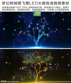 梦幻树蝴蝶飞舞LED大屏幕素材