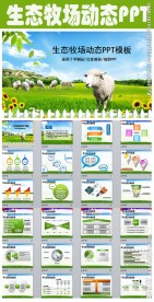 绿色牧场羊制品项目报告PPT