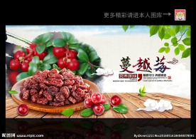 蔓越莓