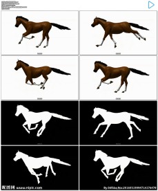 马奔跑可抠像