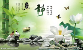 经典中式静字花卉花朵背景墙