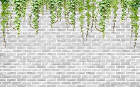 现代简约花卉植物背景墙