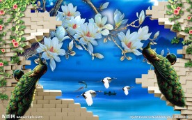 砖墙孔雀玉兰花高清PSD素材