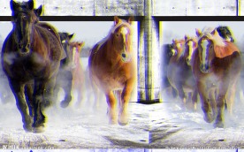 奔驰骏马群雪地马到功成PSD