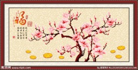 玉兰花