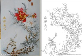 福泽万代 牡丹花