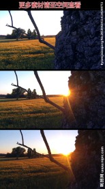 麦田黄昏太阳高清实拍视频素材