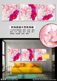 唯美电视背景墙 壁纸移门无框画