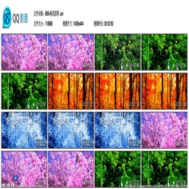 桃花四季桃花林舞台演出背景视频