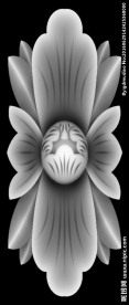 门上花 灰度图