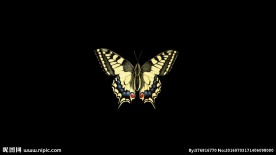 蝴蝶翅膀带通道