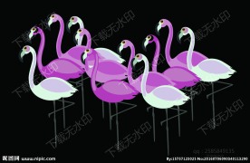 火烈鸟矢量图印花图案