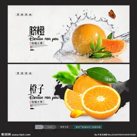 橙子