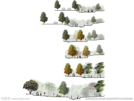 景观高清剖面图PSD