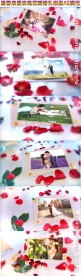 浪漫玫瑰花瓣婚礼相册AE模板
