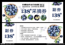 蓝莓采摘券