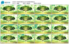 风景蓝天白云天空大树风景场景