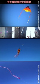 风筝蓝天飞翔高清实拍视频素材