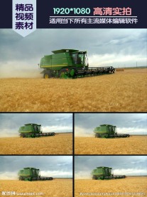 收割机收割小麦