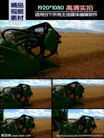 收割机收割小麦