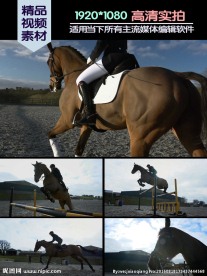 马术训练骑马跨栏