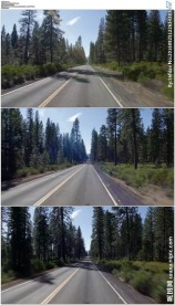 开车驾驶穿越美国森林公路