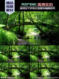 山间小桥视频素材