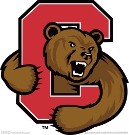 AI卡通熊图标矢量图