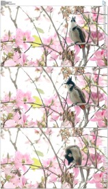 站在花丛枝头上的一只小鸟