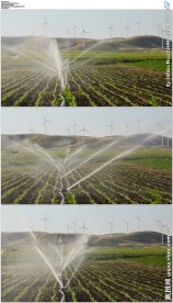 农业灌溉植物山坡上风车旋转