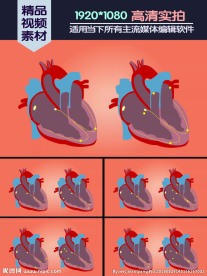 心房颤动心房扑动对照演示动画