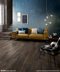 瓷砖效果图  客厅