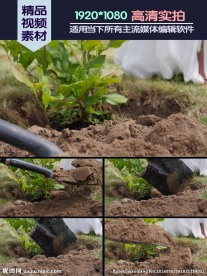铲土植树绿化