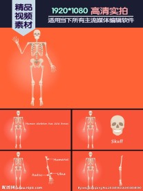 人类骨架结构基本知识科普