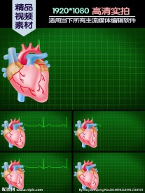 心脏跳动心电图医学演示动画