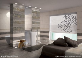 瓷砖效果图  卫生间