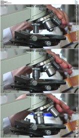 调整显微镜观察