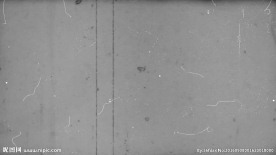 老电影噪点干扰5