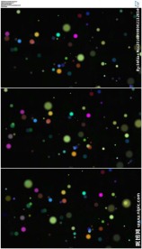 彩色小光斑气泡背景