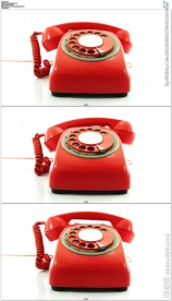 老式电话疯狂的响铃